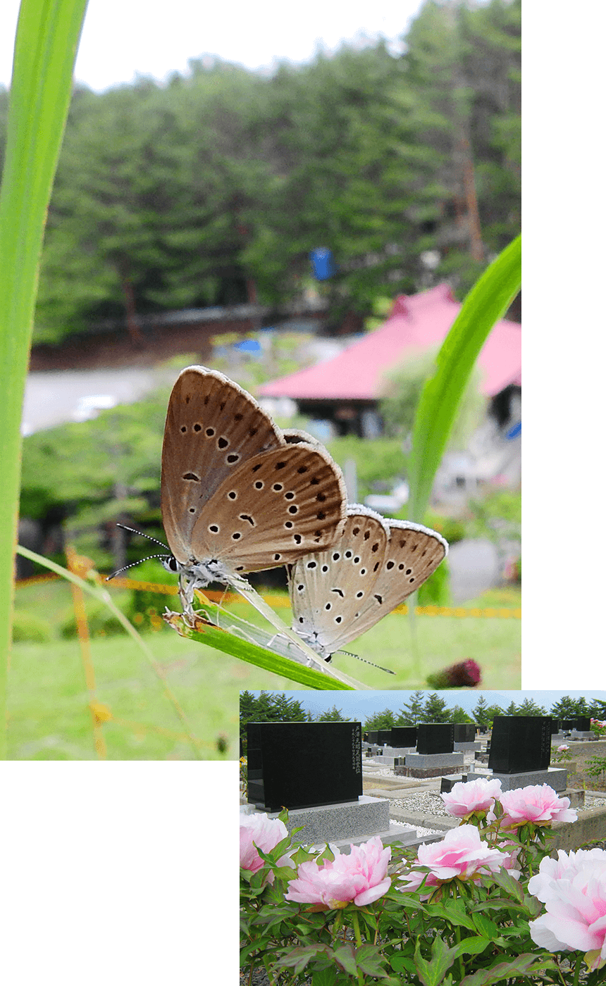 長野市霊園